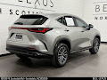 2025 Lexus NX 350h Premium