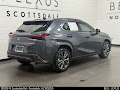 2024 Lexus UX 250h F SPORT Design