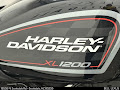 2020 Harley-Davidson SPORSTER XL 1200