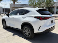 2026 Lexus NX 350h Premium