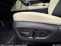 2024 Lexus NX 350h Premium