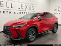 2024 Lexus NX 350h Premium