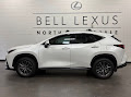 2025 Lexus NX 250 Premium