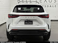 2025 Lexus NX 250 Premium