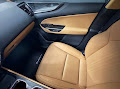 2025 Lexus NX 250 Premium