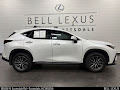 2025 Lexus NX 250 Premium