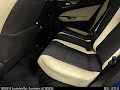 2024 Lexus NX 350h Premium
